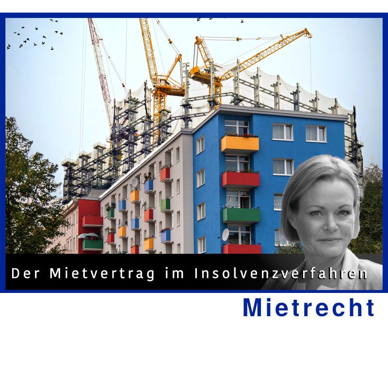 MietR - 13.11.2024 - 13.30 Uhr: Insolvenz - Mietvertrag