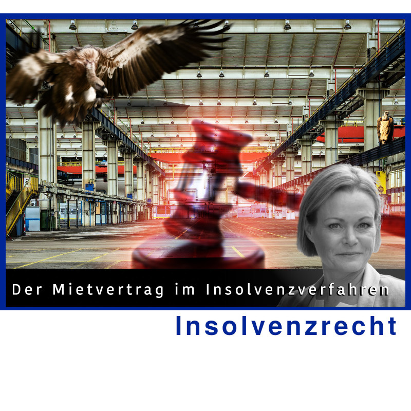 InsolvR - 13.11.2024 - 13.30 Uhr: Insolvenz - Mietvertrag