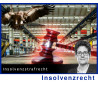 InsolvenzR - 10.12.2024 - 10.00 Uhr: Insolvenzstrafrecht