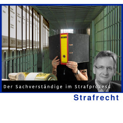 StrafR - 15.01.2025 - 14.00...